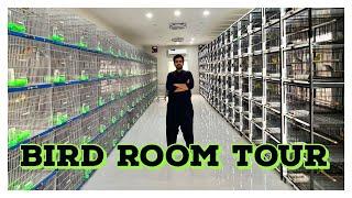 Lovebirds breeding room tour | Wajahat Munawar