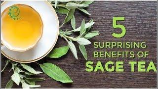 5 Surprising Benefits Of Sage Tea | Organic Facts