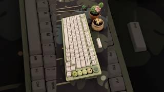 ceramic keycaps = the ultimate thock⋆⁺₊⋆#mechanicalkeyboard #keyboard #typing #thocky #asmr