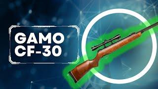 Gamo CF-30 joins the channel + stock bolt repair