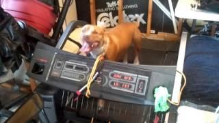 Treadmill Work