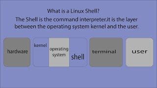 What is a Linux Shell