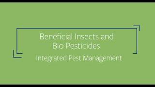 Beneficial insects and Bio Pesticides (IPM) | Harley Smith's Master Growers Series