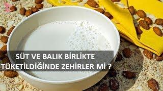 Süt Ve Balık Birlikte Tüketildiğinde Zehirler Mi ? Diyetisyen: Büşra DİNÇ