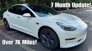 2023 Tesla Model 3 RWD w/ LFP | 7 Month Review Update