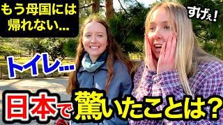 「母国じゃあり得ない...正直日本は別世界！」外国人観光客に日本の印象や驚いたことを聞いてみた！in 金沢【海外の反応】【外国人インタビュー】