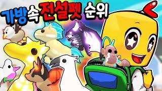 [입양하세요] 말도 안되는 빵신 맘대로 펫 순위! 모든 펫은 소중하죵