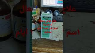 علاج السالمونيلا نهائيا