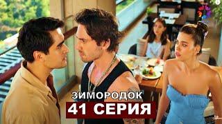 ЗИМОРОДОК 41 серия русская озвучка