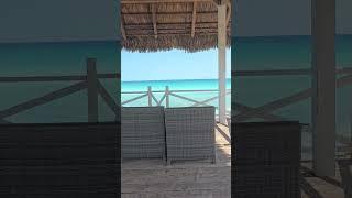 Cuba, Cayo Coco #cuba #travel #viral #youtube #subscribe #youtubeshorts #tropical #beach #sea