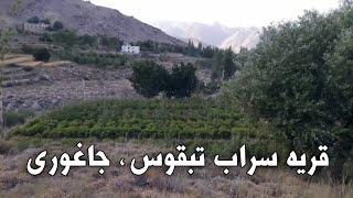 Sarab village, Jaghuri (My homeland)/قریه سراب، جاغوری - زادگاهم