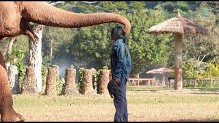 Fah Mai's Loving Embrace! - ElephantNews