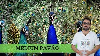 Médium pavão || Umbanda, Espiritualidade, Vaidade