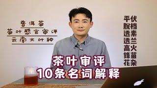 茶叶审评10条名词解释