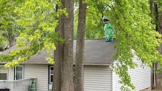 Is Your Roof The Dinosaur On The Block?