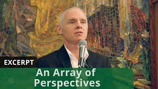 An Array of Perspectives (Excerpt)