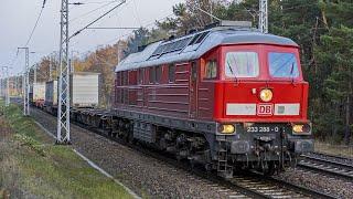 Zugsichtungen November 2022, Teil 3  / Train Sightings November, 2022, Part 3