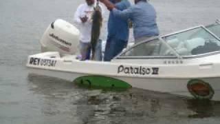 Dariva Pesca - Excursão Argentina