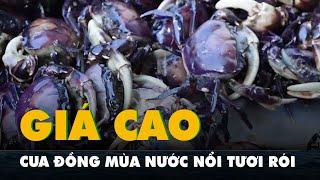 Cua đồng mùa nước nổi tươi rói, giá cao