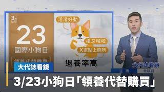 【大代誌看鏡】3/23小狗日「領養代替購買」｜台語新聞 #鏡新聞