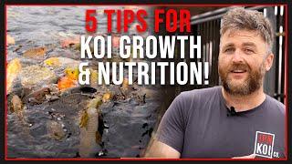 Maximize Koi Growth: Top 5 Tips for Rapid Koi Development | Koi Fish Care