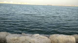 4K UHD SAMPLE TEST VIDEO TAKEN BY ONEPLUS ONE
