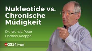 Chronische Müdigkeit: Mit Nukleotiden die ATP-Produktion erhöhen | Dr. rer. nat. Koeppel | QS24