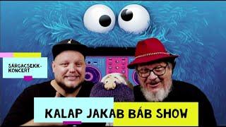 Kalap Jakab - SárgaCsekk-Koncert (NKA)