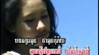 រាត្រីទឹកឃ្មុំ