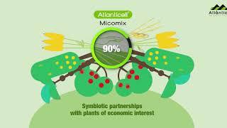 Atlanticell Micomix (English) - Atlántica Agrícola