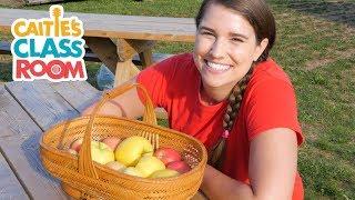 Let's Go To An Apple Orchard | Caitie's Classroom Field Trips | Food Videos for Kids