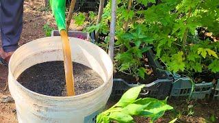 This mixture will be enough for 100 years for your garden bed in a vegetable garden