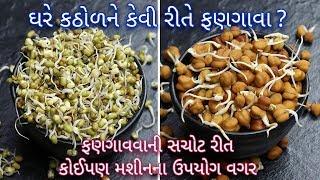 ઘરે કઠોળને ફણગાવવાની પરફેક્ટ રીત | How To Make Sprouts At Home | sprout recipe in Guajarati