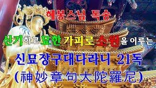 신묘장구대다라니(神妙章句大陀羅尼)21독/신비하고 묘한 가피로 소원성취하는 다라니혜봉스님(慧峰)독송(010-4667-4557법등심)