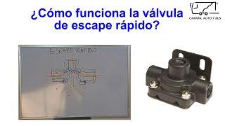 ¿Cómo funciona la válvula de escape rápido? | Frenos de aire