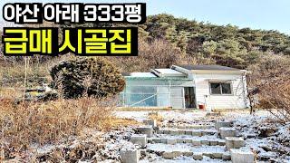 [급매]전주시 와 접근성 좋은 위치 야산 아래 넓은 텃밭 시골집 농가주택 급매물 매매 급매 임실주택 임실세컨하우스 임실촌집 임실시골주택 전북 임실 덕치면 부동산[백제부동산 전주점]