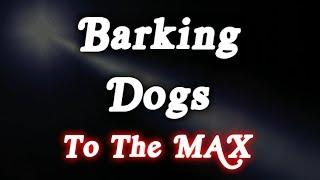 ▶️ Barking Dogs To The Max! Barking Dogs Sounds. Dogs Barking Noises. 12 Hours. 