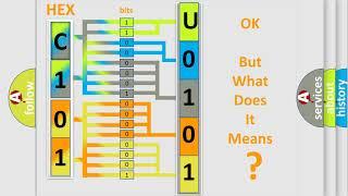 DTC Suzuki U0101 Short Explanation