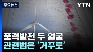 '풍력발전 두 얼굴'...관련법은 '거꾸로' / YTN