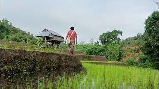 Life in the countryside Thailand's village lifestyle || village life Thailand