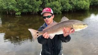 Fishing for Snook and Redfish, Punta Gorda