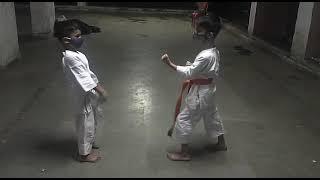 Jodan Mavashi Giri ( Face level Rounds Kick)