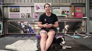 PEMF for Performance Dogs, and in rehabilitation, and the Resona Health Vibe device