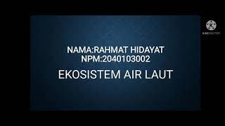 Ekosistem air laut