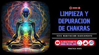 Limpieza y Depuración de Chakras - Sesión en Vivo Vive Meditación Diariamente