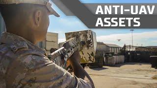 Anti-UAV assets