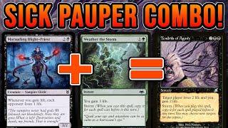 BUILD YOUR OWN TENDRILS! Weather the Storm + Marauding Blight-Priest Pauper MTG Magic: The Gathering