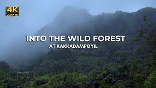 Kakkadampoyil Forest | A Real Forest Experience | Trekking | Vlog#69