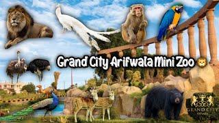 Grand City Mini - Zoo Arifwala, Pakistan 