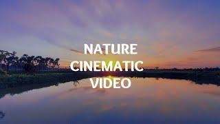 Best nature cinematic video | village nature sight | Shots with mobile phone without gimbal support